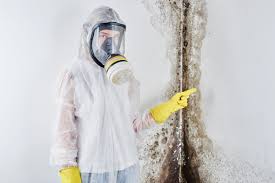 Best Mold Odor Removal Services in De Soto, IA